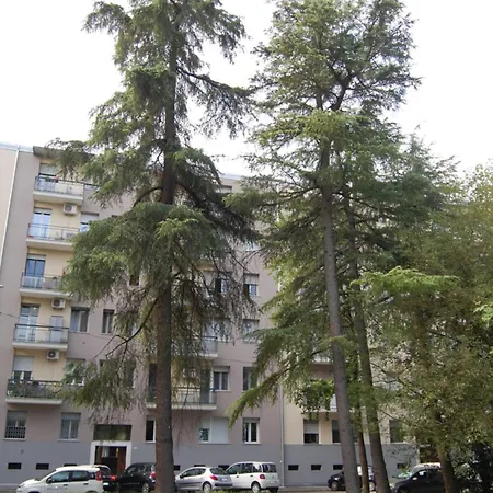 Orchidea Bologna