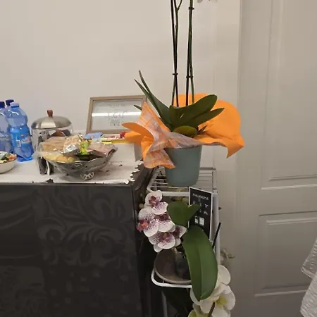Orchidea Bed & Breakfast